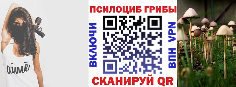 закладка  Вологда  Галлюциногенные грибы прущие грибы 